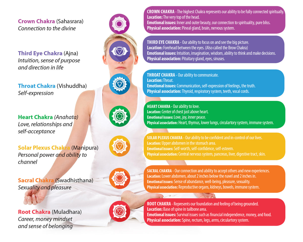 Everything you need to know about Chakras – Pink Posh Fox