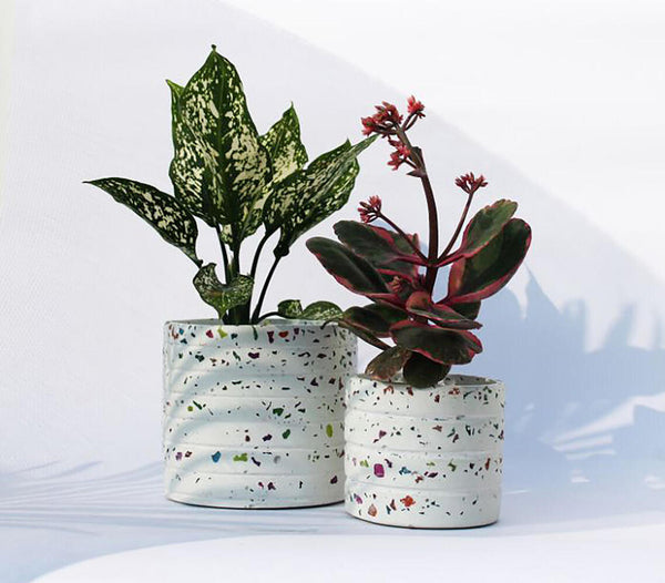 Neon terrazzo table planters (set of 2) | Jardinières de table en terrazzo néon (lot de 2)